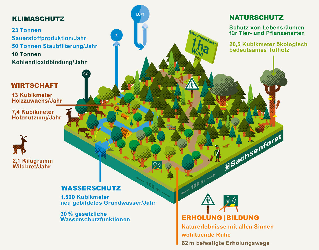 Startseite - Staatsbetrieb Sachsenforst - Sachsen.de