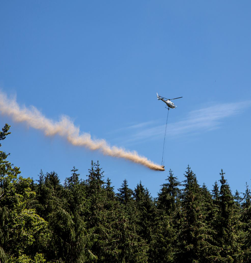 Ein Hubschrauber wirft aus einem angehängten Behälter Kalk über einem Waldgebiet ab.