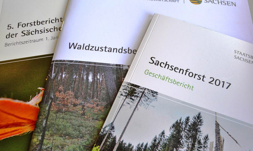 Publikationen Von Sachsenforst - Staatsbetrieb Sachsenforst - Sachsen.de