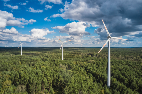 Drei Windräder über Waldgebiet