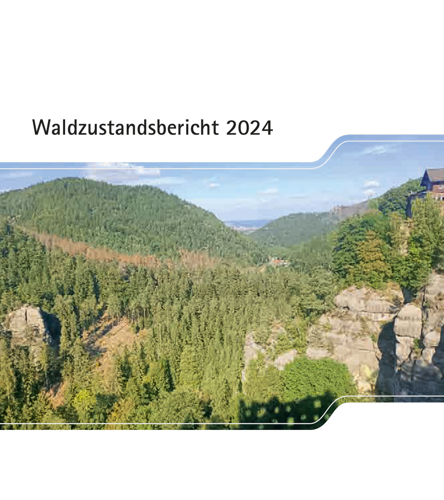 Titelbild des Waldzustandsberichtes